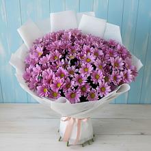Букет цветов из:  Хризантемы в Миллерово