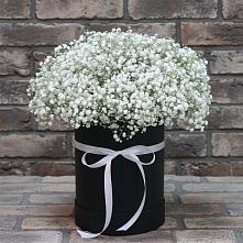 Цветочная композиция из Гипсофила в шляпной коробке в Миллерово