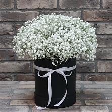 Цветочная композиция из Гипсофила в шляпной коробке в Миллерово