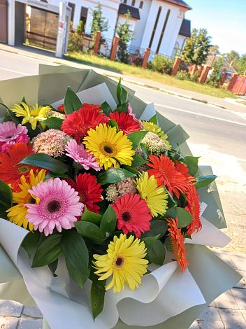Букет цветов из: Герберы в Миллерово