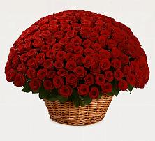 Премиум букет из: Розы #REPLACE_PRED# Миллерово