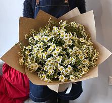 Букет цветов из:  Ромашки #REPLACE_PRED# Миллерово