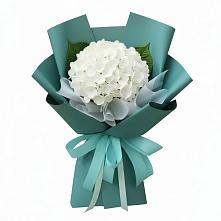 Букет цветов из:  Гортензия в Миллерово